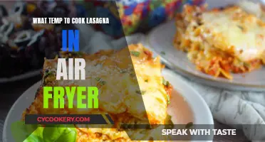 Perfect Lasagna in Air Fryer: Temperature Secrets Revealed