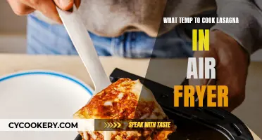 Lasagna Air Fryer Settings: Getting That Perfect Temperature