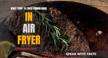 Mastering the Perfect London Broil: Air Fryer Temperature Guide