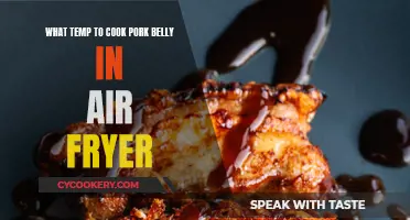 Perfectly Crispy Pork Belly: Air Fryer Temp Guide