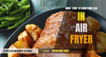 Perfectly Cooked Pork Loin: Air Fryer Temperature Guide