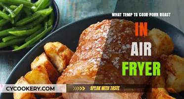 Air Fryer Pork Roast: Perfect Temperature Guide for Delicious Results