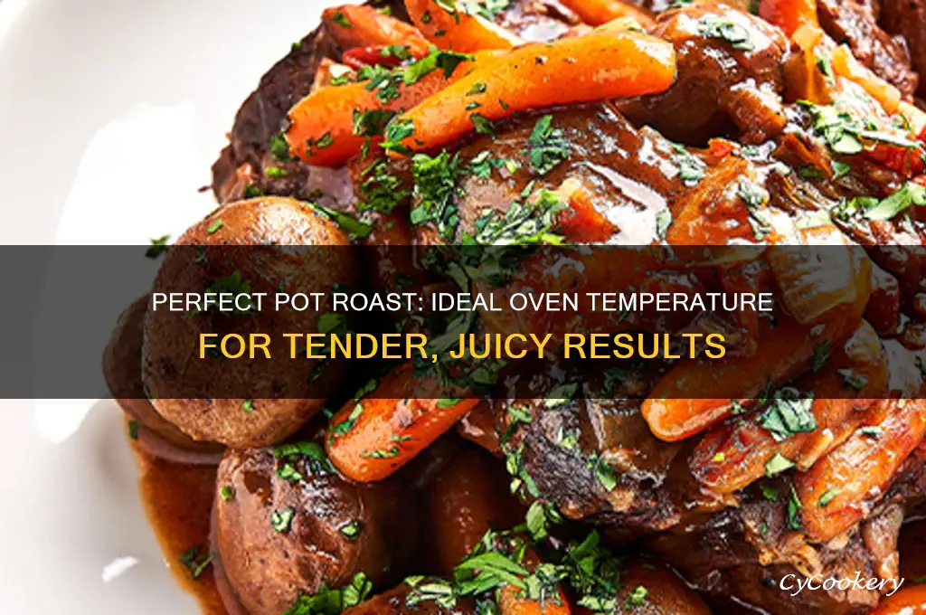 what temp to cook pot raost in oven