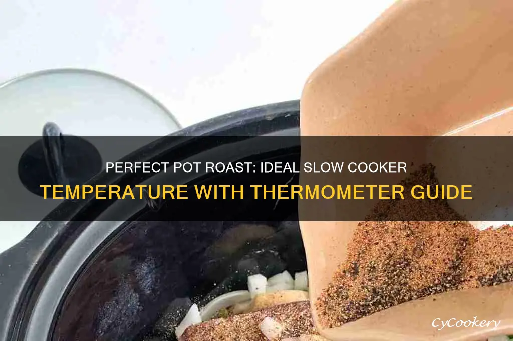 what temp to cook pot roast in slow cooker thermometer
