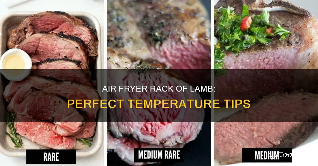 what temp to cook rack of lamb in air fryer