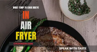 Perfect Ribeye in Air Fryer: Temperature Guide