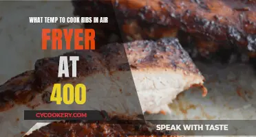 Perfectly Cooked Ribs: Air Fryer Tips for Delicious Results