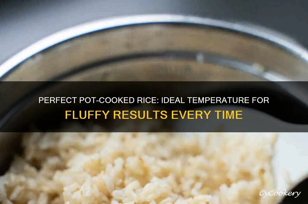 what temp to cook rice in pot