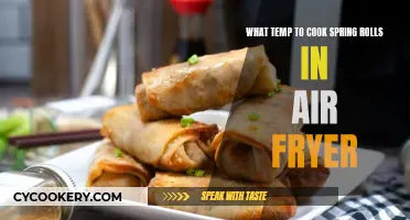 Crispy Spring Roll Perfection: Air Fryer Temperature Guide