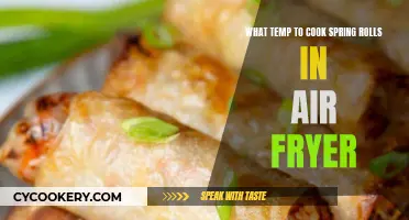 Spring Rolls: Air Fryer Cooking Temperature Guide