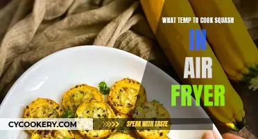 Perfectly Cooked Squash: Air Fryer Temperature Guide