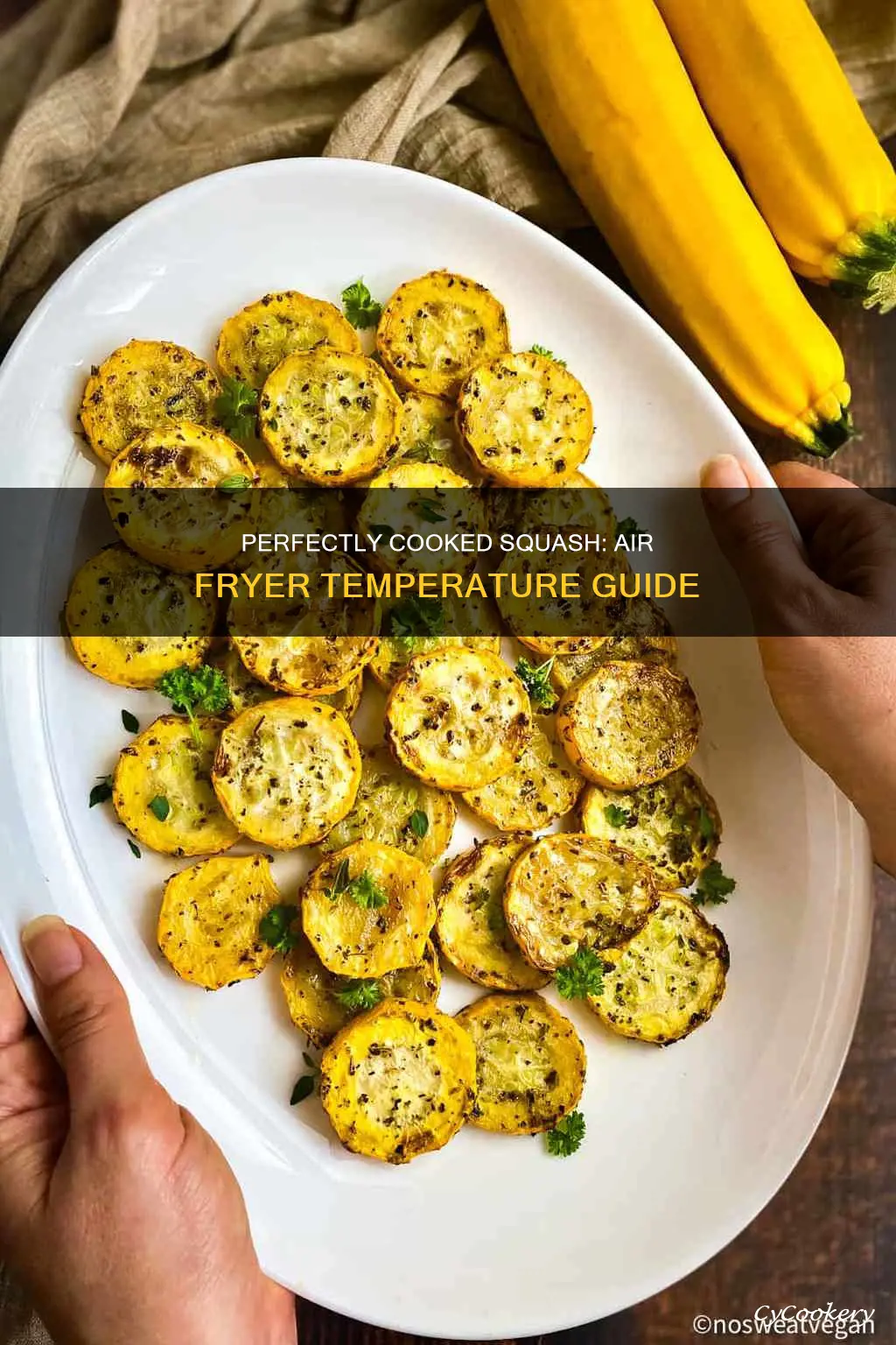 what temp to cook squash in air fryer