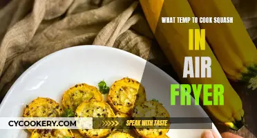 Air Fryer Squash: Best Temperature Tips