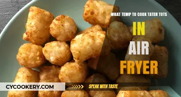 Crispy Tater Tots: Air Fryer Perfection in 15 Minutes!