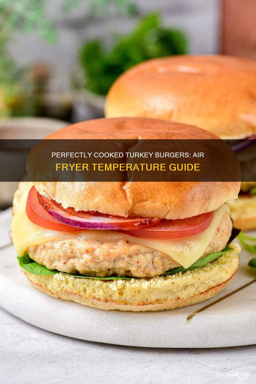 what temp to cook turkey burger in air fryer