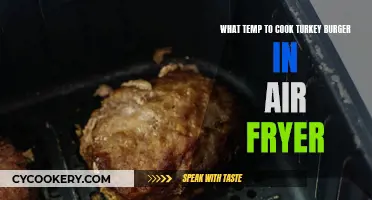 Air Frying Turkey Burgers: Best Temperature Tips