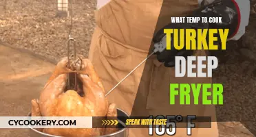 Perfect Turkey: Deep Fryer Temp Guide for Juicy Results