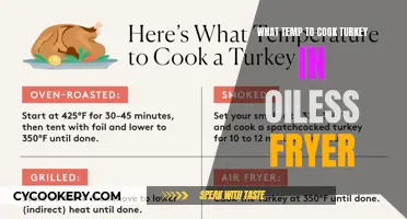 Perfect Turkey: Oil-Free Fryer Temp Guide