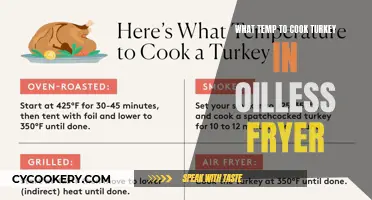 Perfect Turkey Cooking: Oil-Free Fryer Temperature Guide