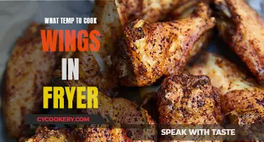 Crispy, Golden Wings: The Perfect Fryer Temperature Guide