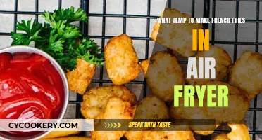 Perfect French Fries: Air Fryer Temperature Guide