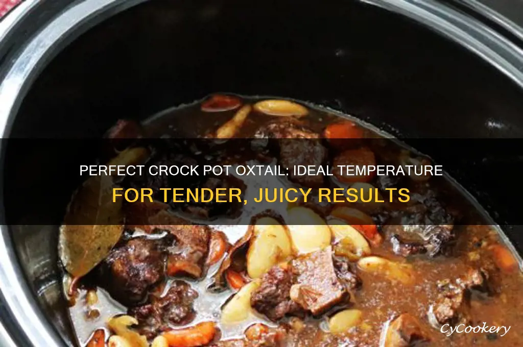 what temparature to cook oxtail in crock pot