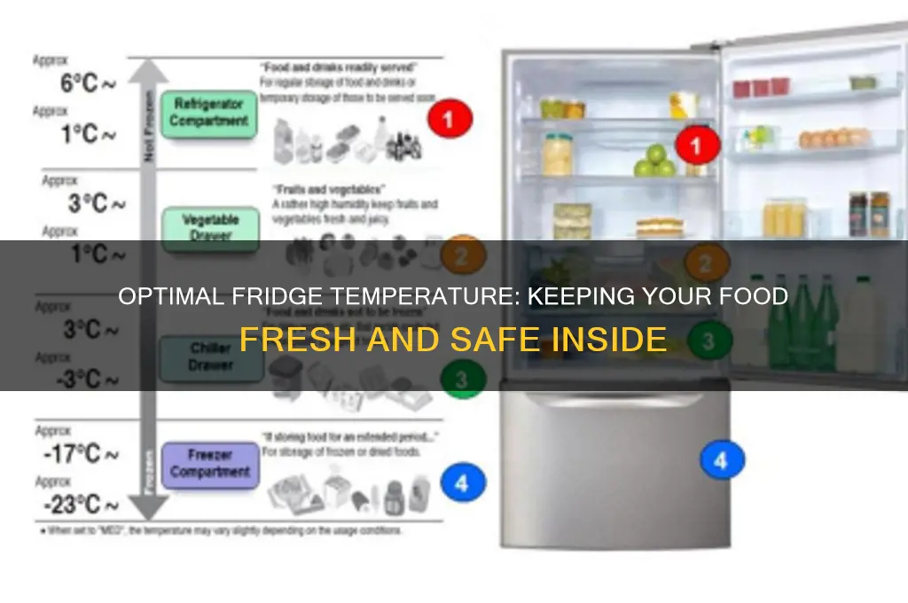 what temparture should a refrigerator be inside