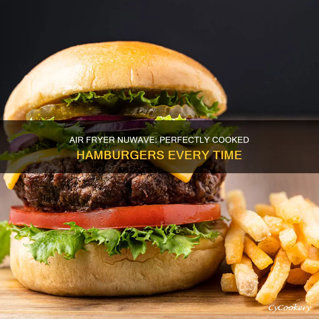 what temperature cook hamburgers in the brand air fryer nuwave