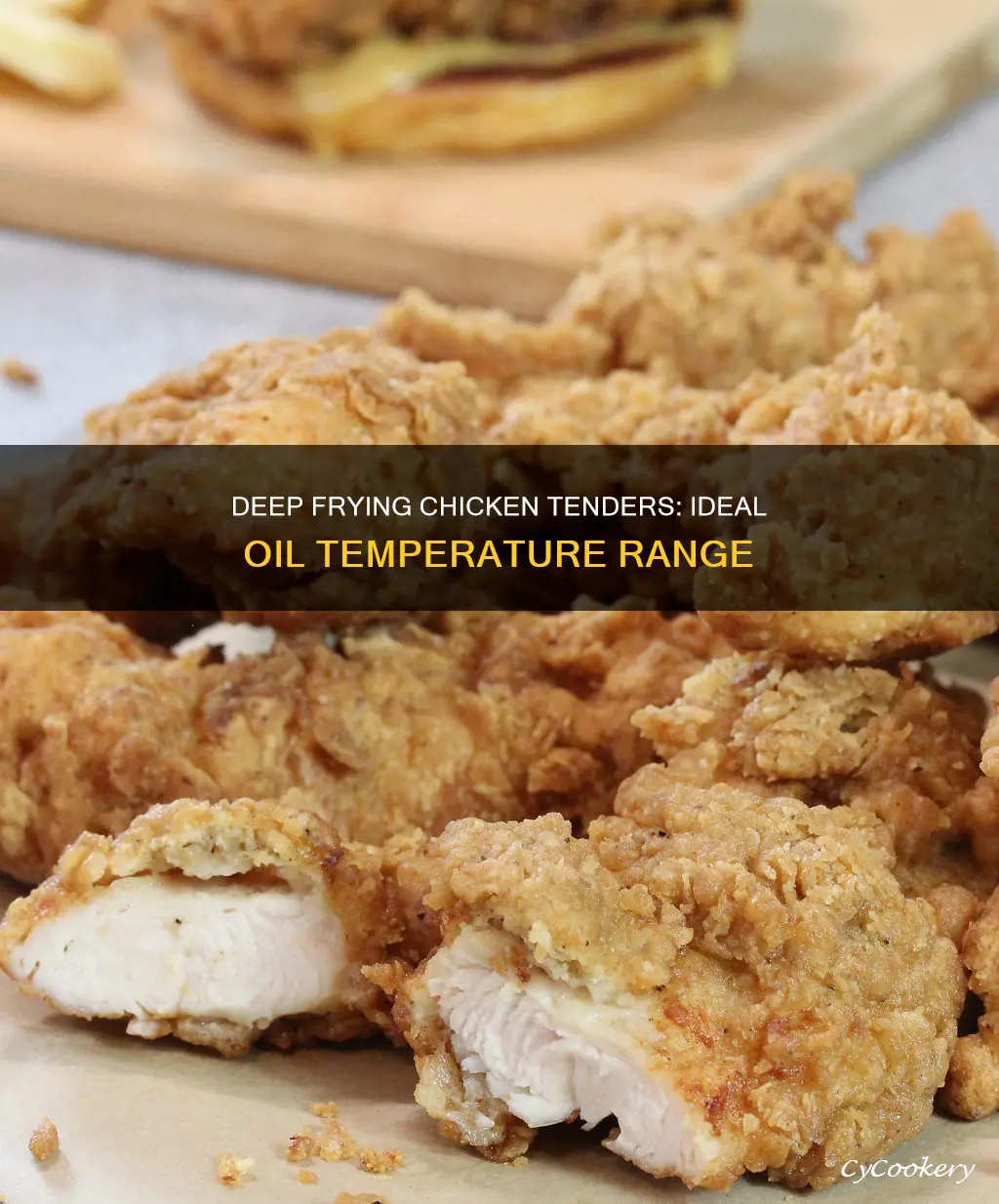 what temperature deep fryer cooked chicken tenders
