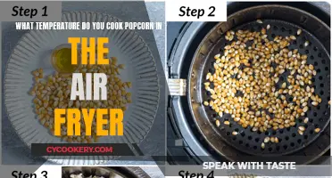 Air Fryer Popcorn: The Perfect Temperature for Crunchy Snacks