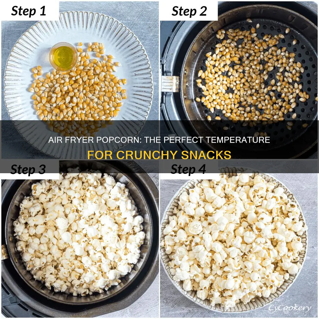 what temperature do you cook popcorn in the air fryer