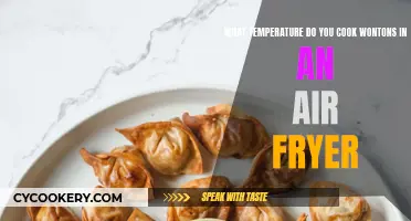 Perfectly Crispy Wontons: Air Fryer Temperature Guide