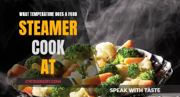 Steaming Hot: Food Steamer Cooking Temperatures Explored