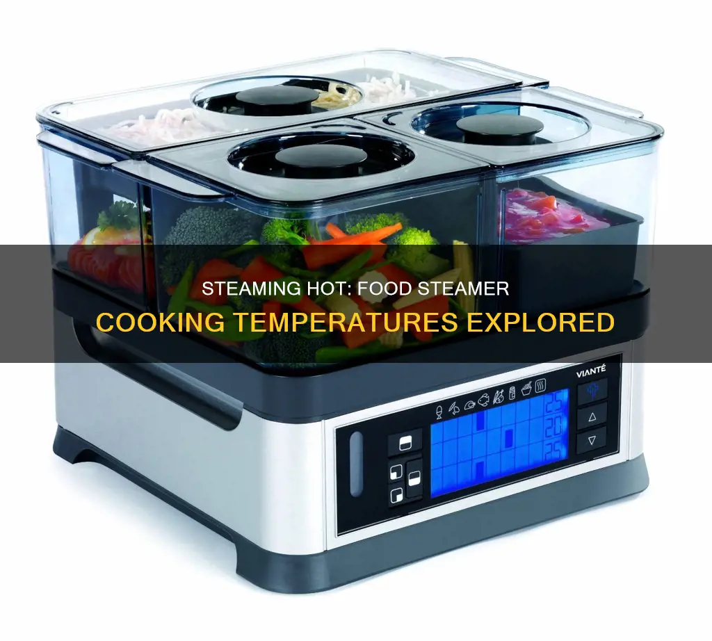 what temperature does a food steamer cook at