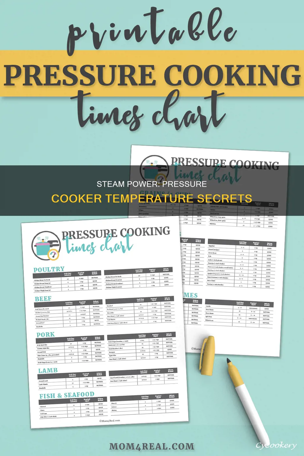 what temperature does a pressure cooker reach with the steam