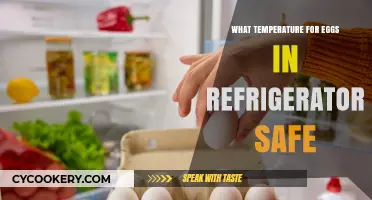 Safe Refrigerator Temperature for Eggs: A Guide to Freshness