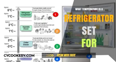 Optimal Refrigerator Temperature: A Guide to Food Safety and Freshness