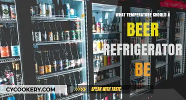 Optimal Beer Fridge Temperature: Perfect Chill for Your Brews