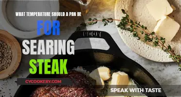 The Perfect Steak: Pan Temperature Secrets