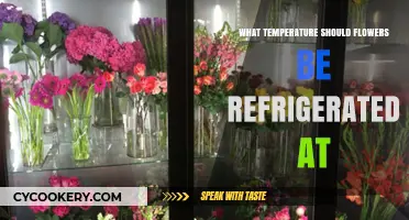 Optimal Refrigeration Temperature for Fresh Flowers: A Complete Guide