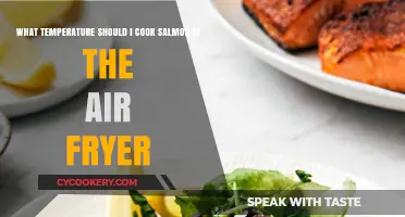 Perfectly Cooked Salmon: Air Fryer Temperature Guide