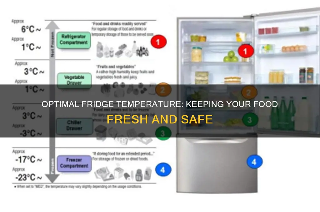 what temperature should the refrigerator section be