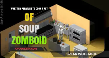 Perfect Soup Temperature in Project Zomboid: Cooking Tips for Survival
