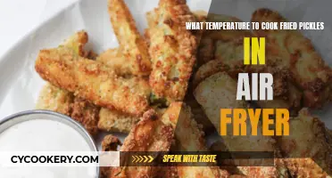 Frying Pickles: Air Fryer Temperature Tips and Tricks