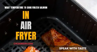 Air Fryer Frozen Salmon: Perfect Temperature Tips