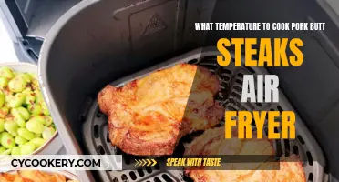 Mastering the Perfect Pork: Air Fryer Butt Steak Temperature Guide