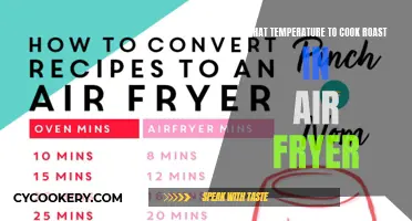 Air Fryer Roast: Perfect Temperature for Tender Meat