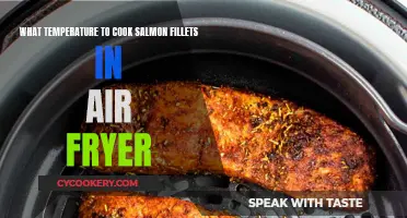 Air-Frying Salmon: Getting the Temperature Just Right