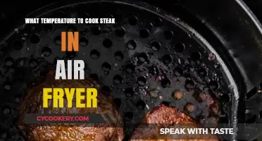 Mastering the Perfect Steak: Air Fryer Temperature Guide