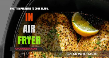 Perfectly Cooked Tilapia: Air Fryer Temperature Guide